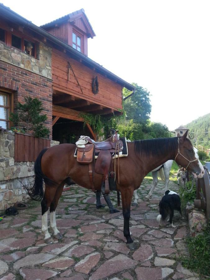Ubytovani Steak-Hredle Extérieur photo